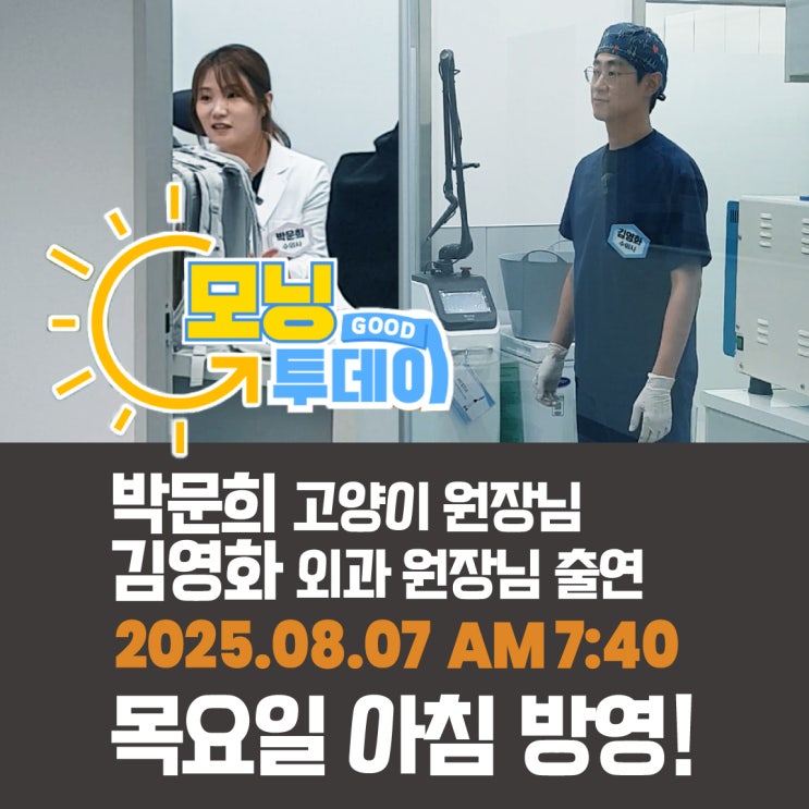  방영날짜 변경! 박문희 고양이 원장 김영화 외과 원장 KNN 굿모닝 투데이 방송 8월 7일(목) 아침 부산24시동물병원