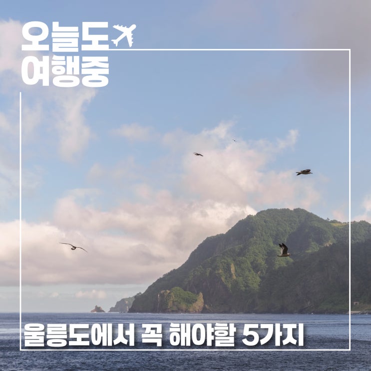  울릉도 여행에서 꼭 해야할 5가지 | 독도 배편 예매 꿀팁 인생사진 스팟 현지 먹거리