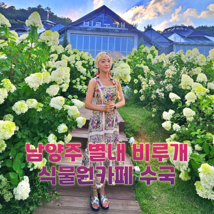 남양주 비루개카페 수국 만개 별내 식물원카페 실내 데이트 코스