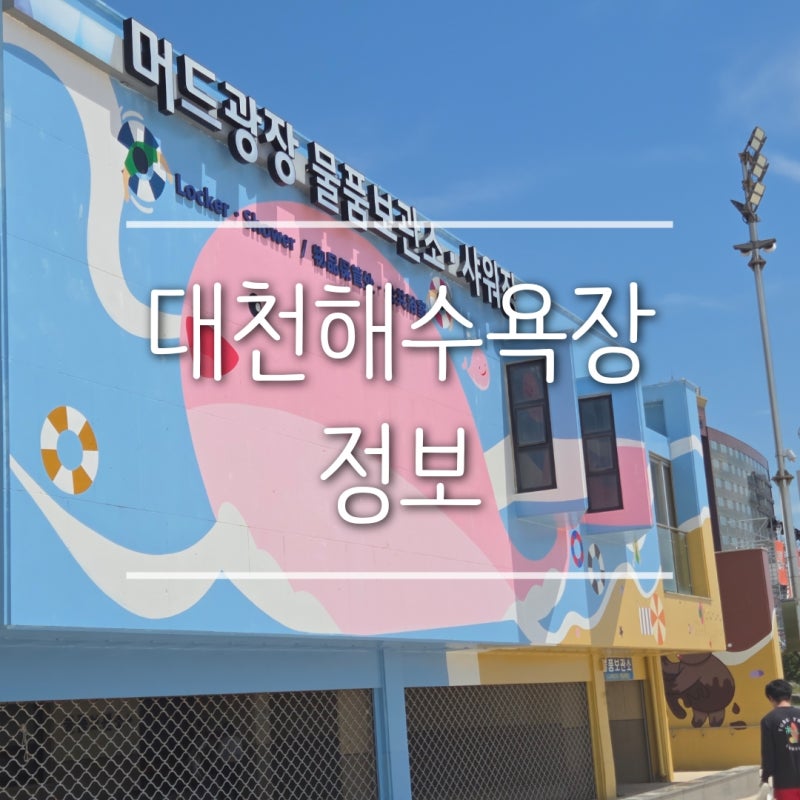 대천해수욕장 샤워장 물품보관소 놀거리 정보 보령머드축제
