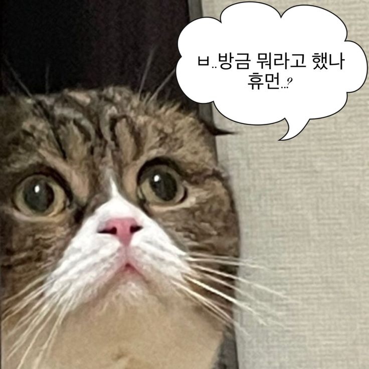  서울런 멘토단 활동 후기 (2) 장단점, 그러나 역시 비추