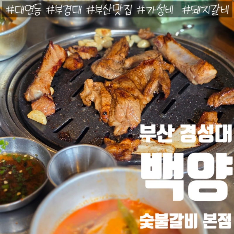 부산 경성대 [ 백양숯불갈비 본점 ] 가성비 돼지갈비 내돈내산 식사후기 대연동 부경대 맛집