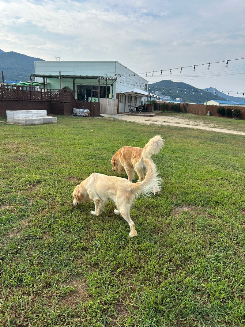 사진 5