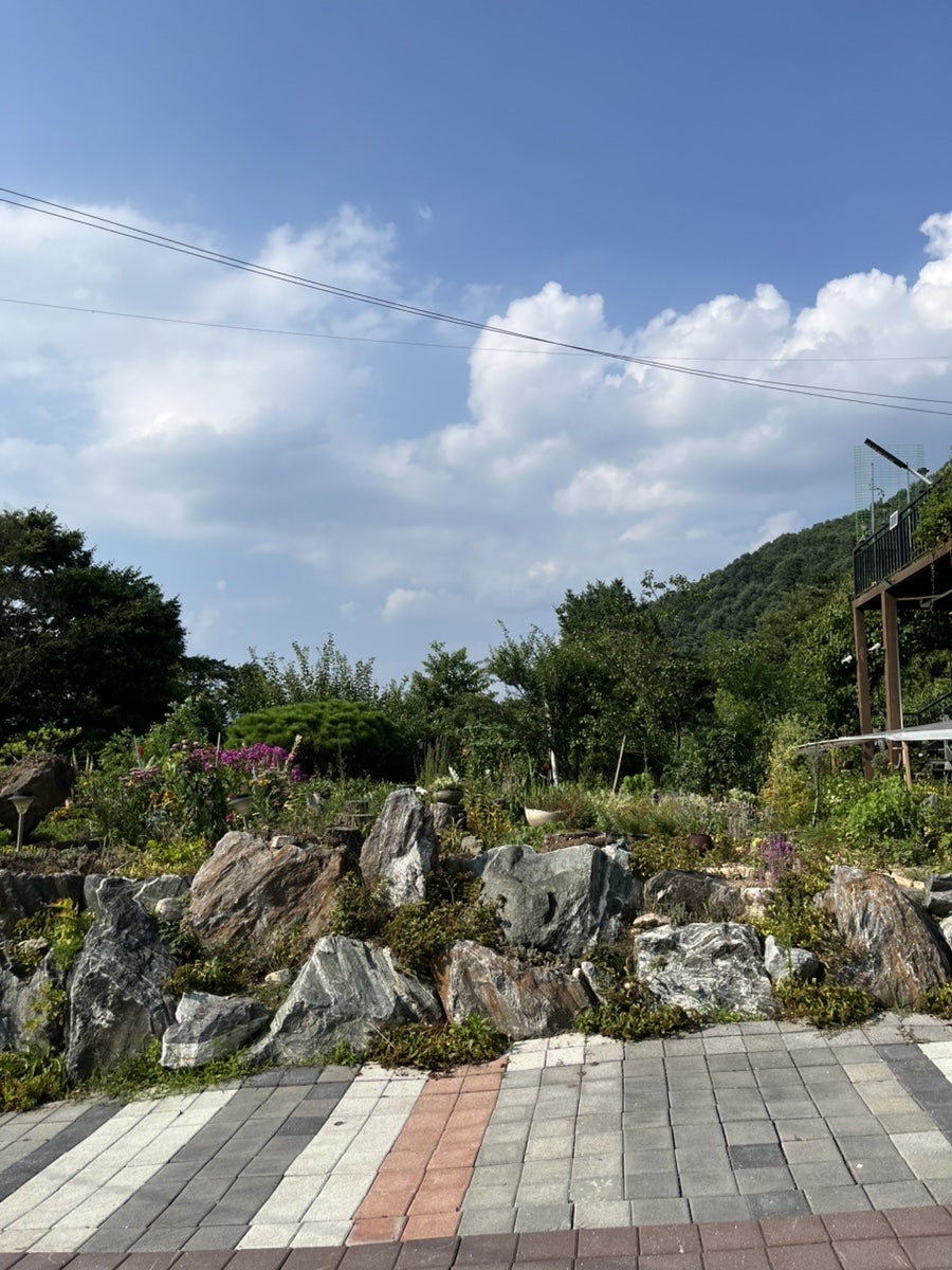 더쉼펜션 사진 2