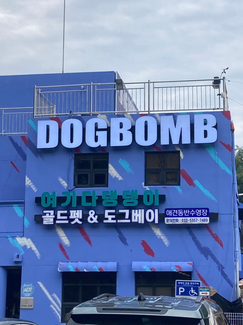 사진 7