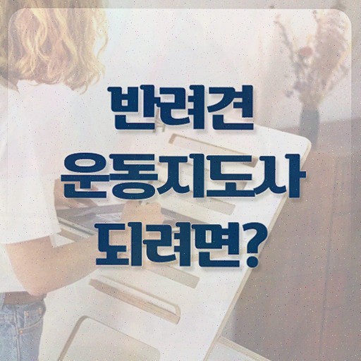  파주 강아지 운동장 , 2주 만에 반려견운동지도사자격증 취득방법 총 정리