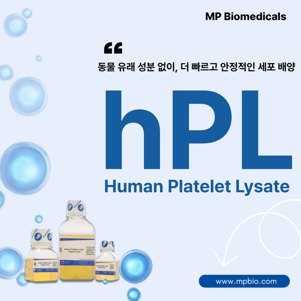  Human Platelet Lysate (hPL) : 동물 유래 성분 없이, 더 빠르고 안정적인 세포 배양