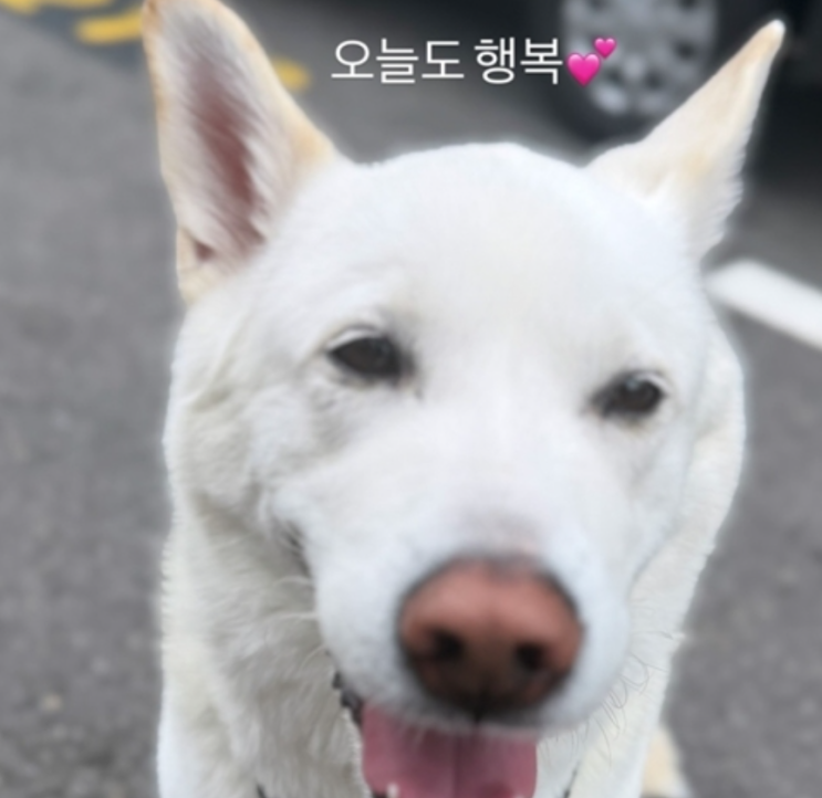  “아이 없이도 잘 살기로 했어요”… 심진화