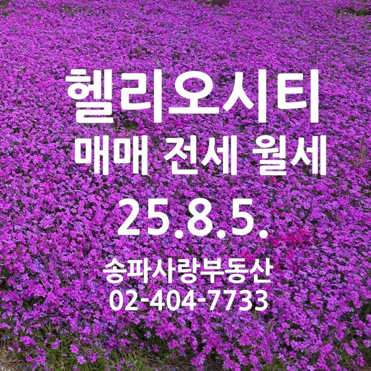  흔들림이 없는 헬리오시티 매매 전세 월세 시세 25년 8월 5일