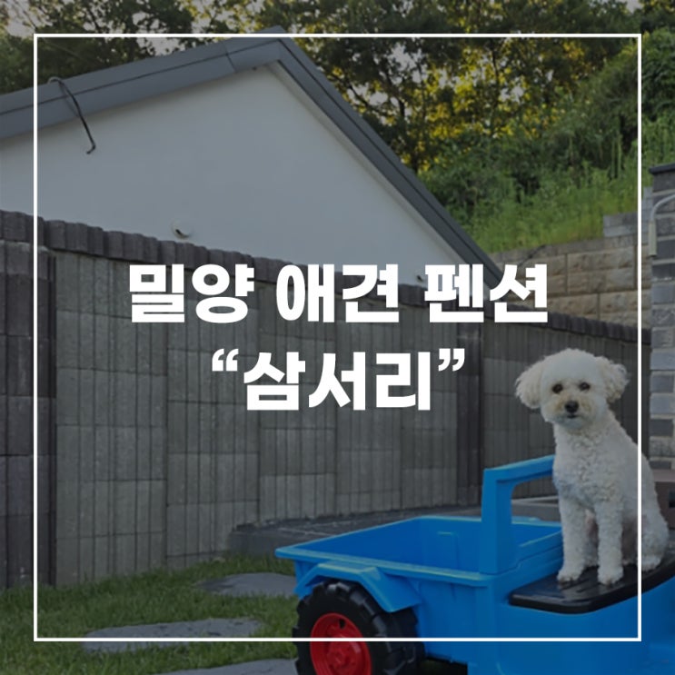  밀양 애견 동반 펜션 뛰어 놀기 좋은 숙소 삼서리