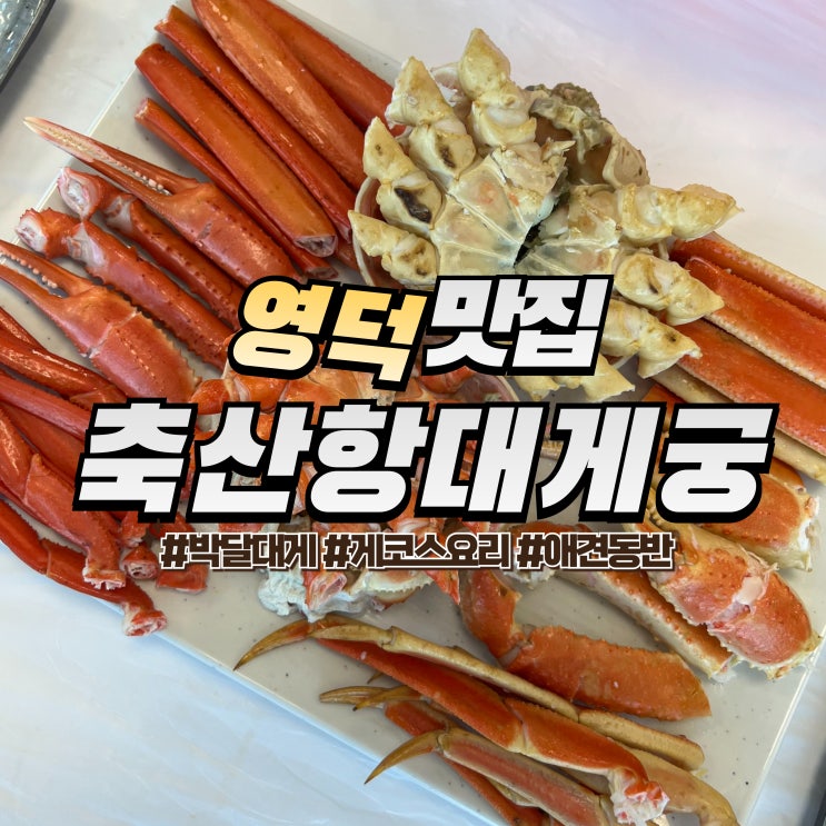  영덕 축산항 대게궁 :: 영덕대게 맛집 애견동반 가능한 곳