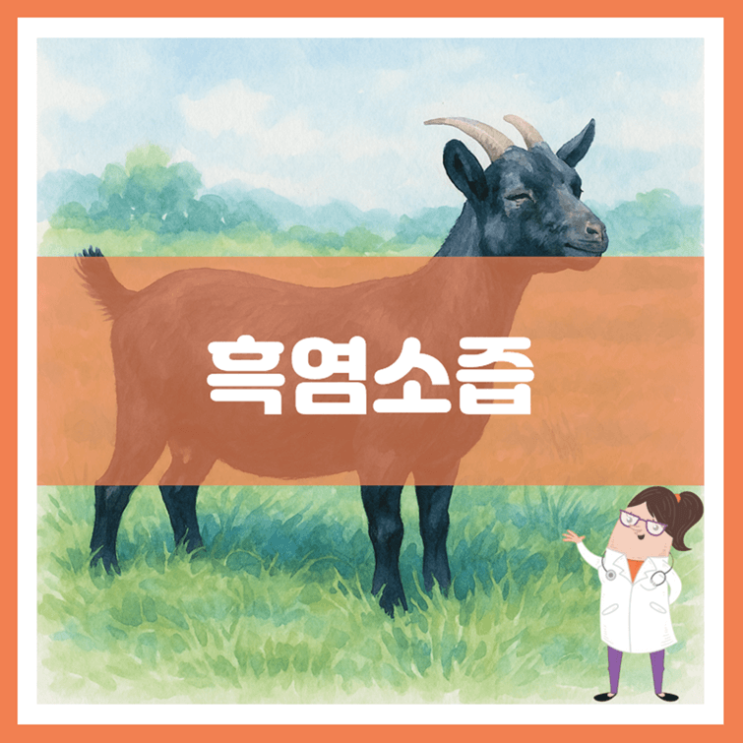  흑염소즙 효능 섭취방법 부작용