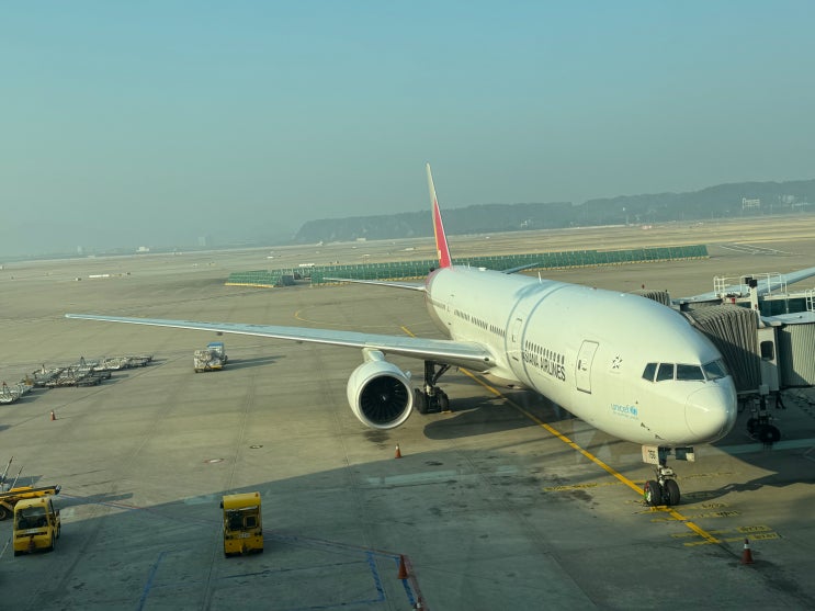  [20250322] 아시아나항공 OZ551 서울 인천 → 이스탄불 이코노미 탑승 후기 (ICN→IST)