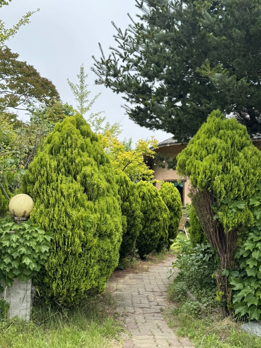 너울가지 사진 3