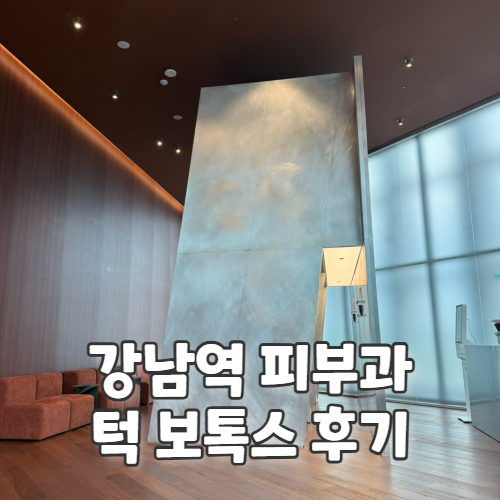  세계최초 AI 진단 프로그램으로 내 얼굴에 맞는 시술 추천 강남역 피부과 턱 보톡스 추천 후기