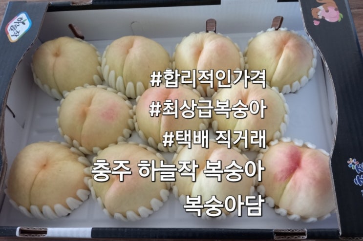  충주복숭아 주문 복숭아담 하늘작복숭아 택배거래 직거래 충주 복숭아 직판장
