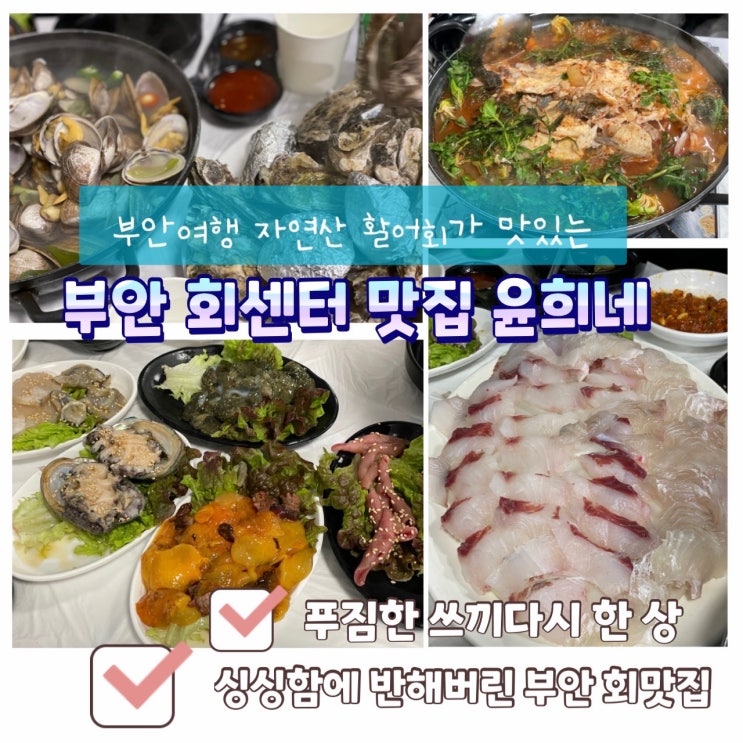  부안여행 부안회센터 맛집 자연산 활어회 : 도미 도다리 맛집 윤희네집
