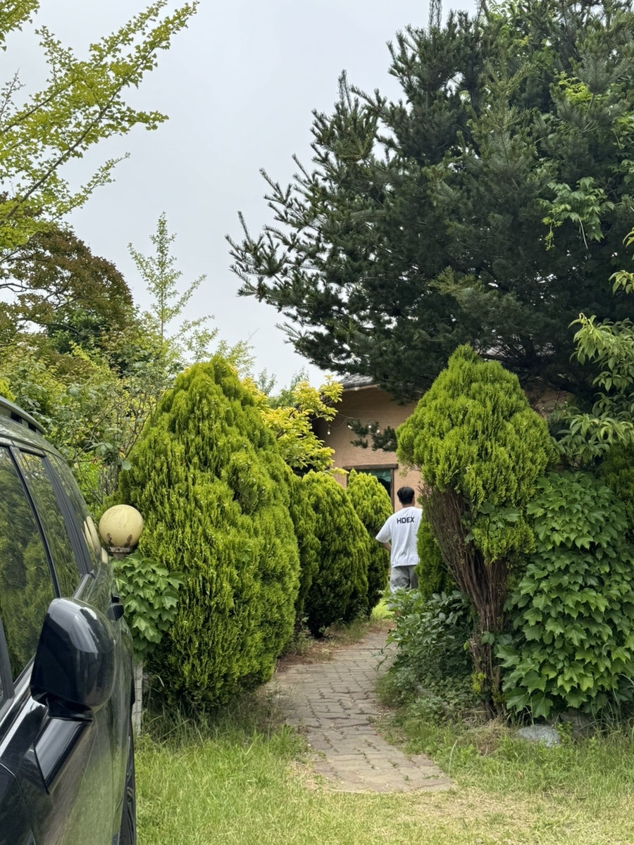 너울가지 사진 2