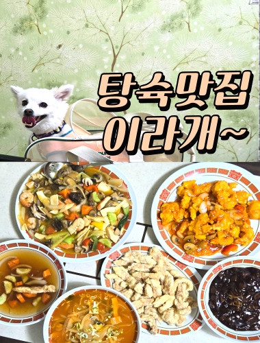호화반점 사진 1