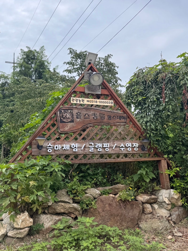 사진 4