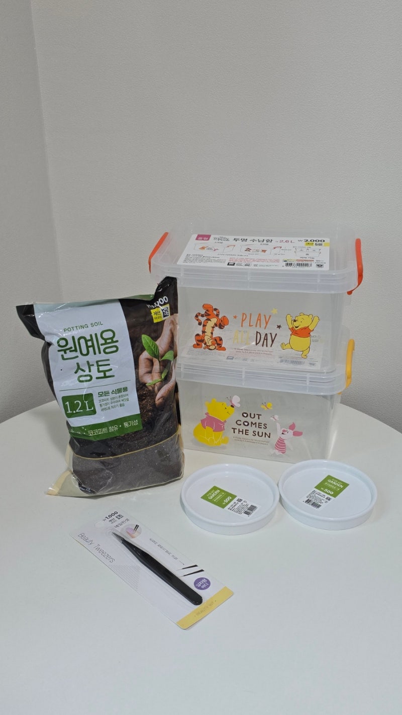 명주달팽이키우기 시작! 다이소템으로 반려달팽이 집 꾸미기