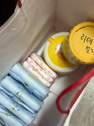 도그레이 애견유치원 애견호텔