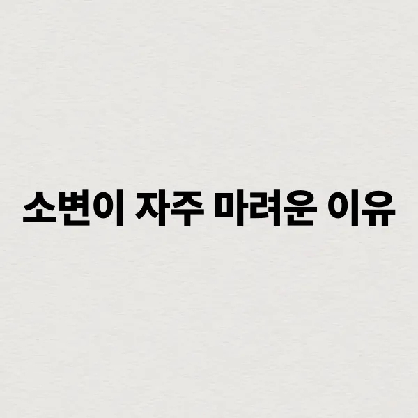  소변이 자주 마려운 이유는? 건강 위험 신호일 수도 있어요