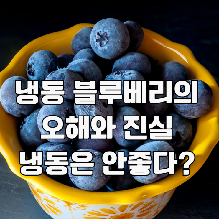  냉동 블루베리, 신선한 것과 효능 비교, 세척 법, 보관법 정리