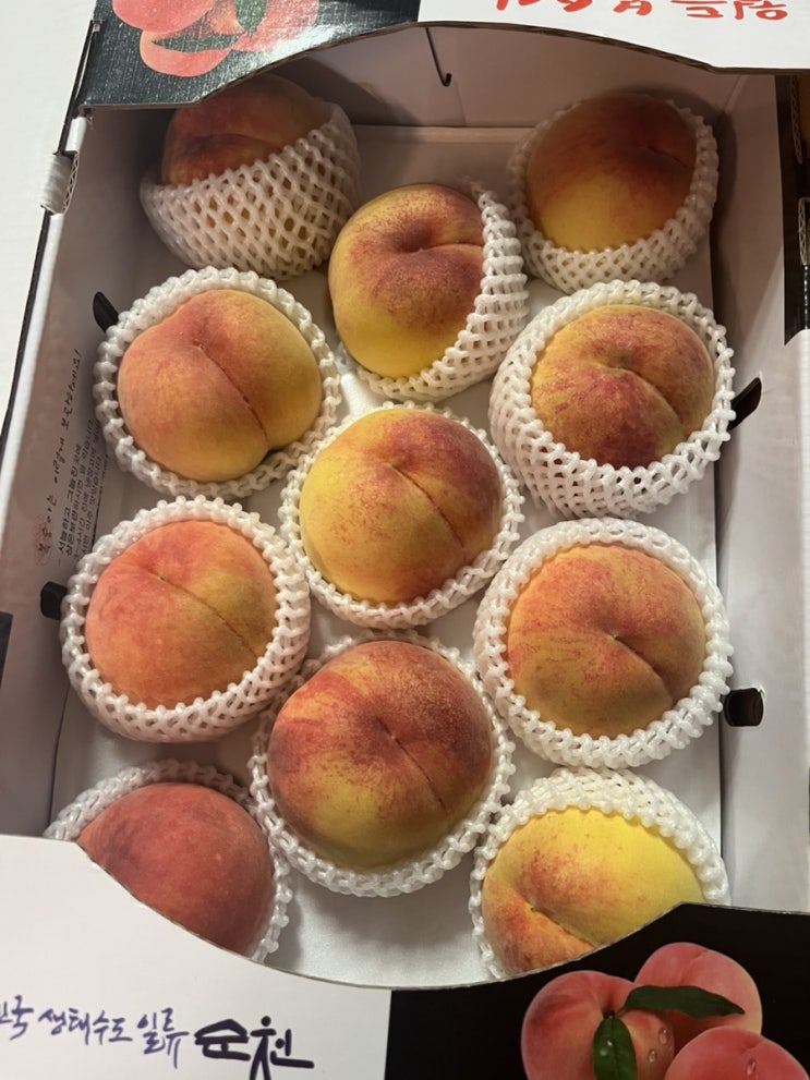  김포 고촌치과 고촌 임플란트 고촌 소나무치과 환자분의 감사한 복숭아 선물(골다공증 임플란트 수술 후기)