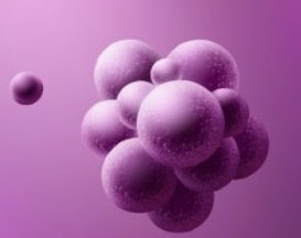  강릉 허리 시술 황색포도알균 감염 사고 - 증상·대응방법·문의처 총정리