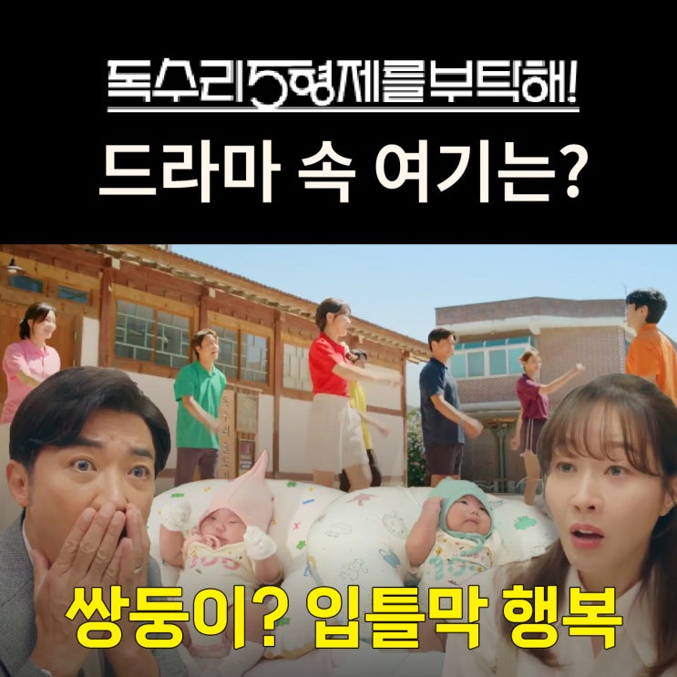  독수리 5형제를 부탁해_54화 최종결말 쌍둥이 임신? 입틀막 백일잔치 국민체조 엔딩 촬영지