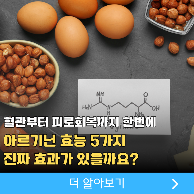 L-아르기닌 엘아르기닌효능 5가지