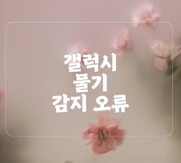 갤럭시 물기 감지 오류 충전 안 될 때 드라이기 진동음 활용까지 실제 후기 기반 팁