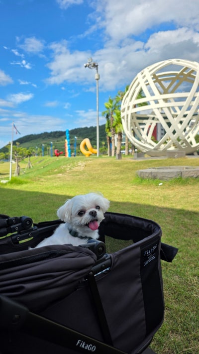 사진 6