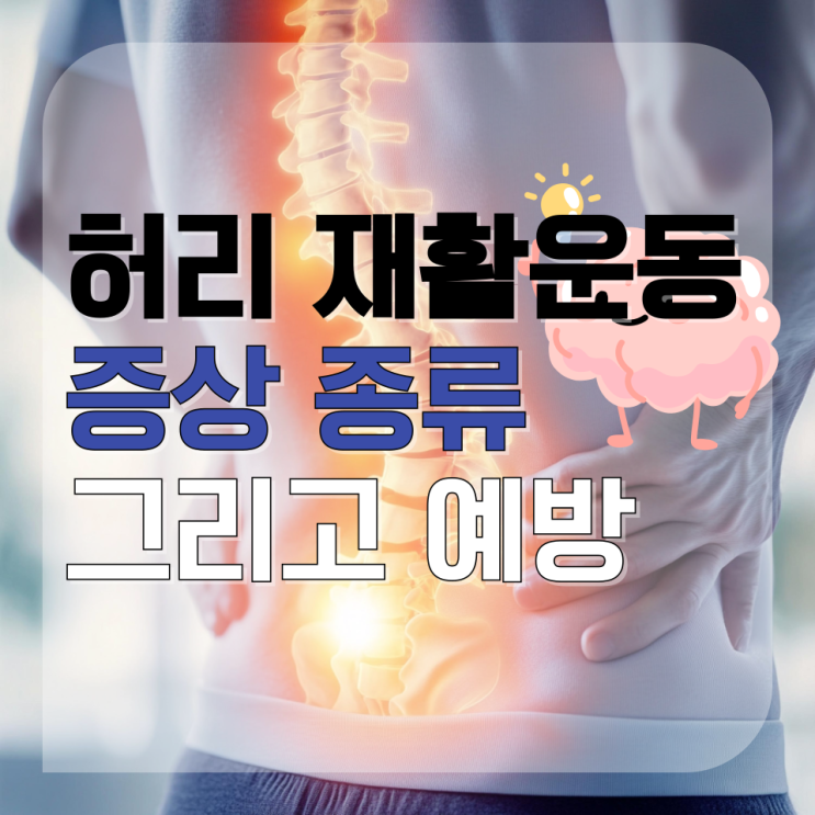  춘천 허리 재활운동, 안 하면 더 아프다? 전문가가 알려주는 효과적인 방법