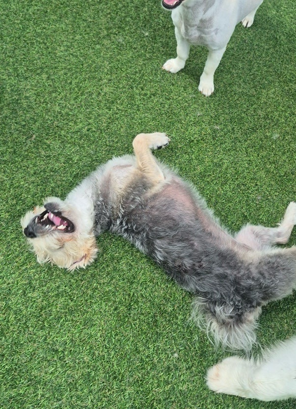 사진 2