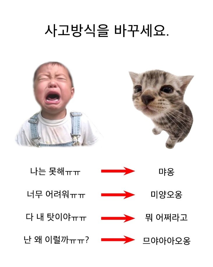   그 생각, 그만해요. 사고방식을 바꾸세요.