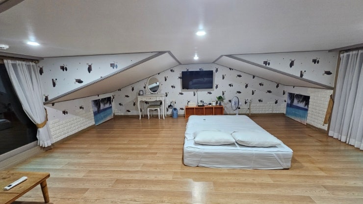  제주 한경면 바사팬스파펜션 2시간만에 퇴실한 곰팡이 냄새 가득했던 최악의 숙소 비추천 [내돈내산]