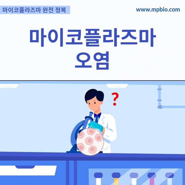  [마이코플라즈마 완전 정복 시리즈-프롤로그]보이지 않는 위협, 마이코플라즈마 — 연구 성패를 가르는 결정적 변수