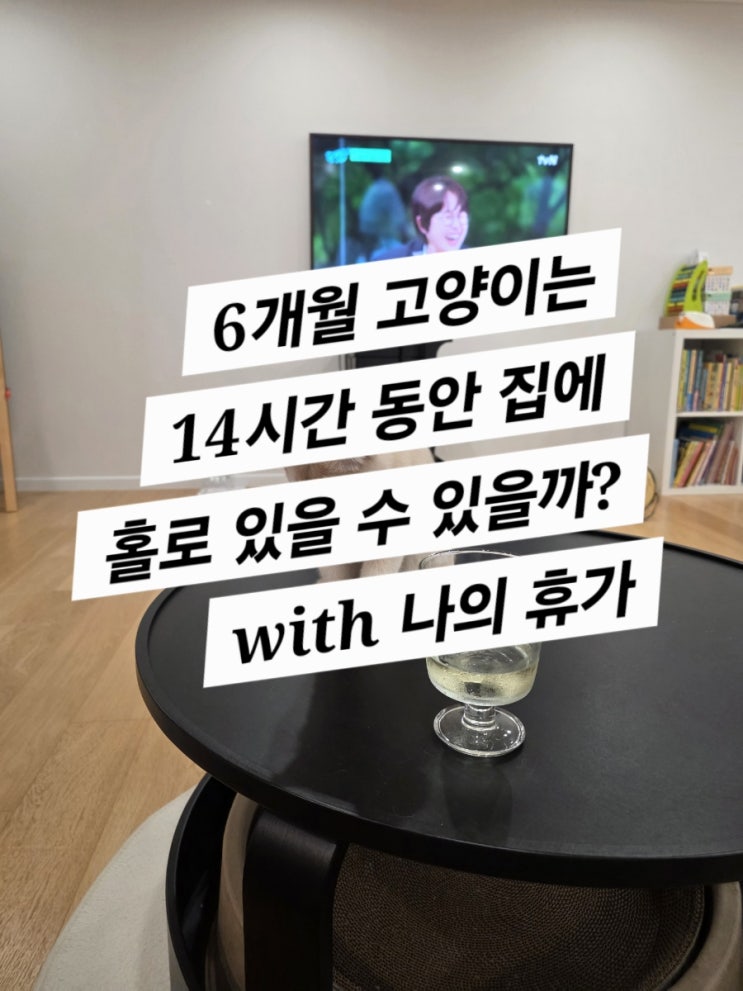  반려 동물을 키운다는것 (14시간의 부재, 그리고 나의 휴가?)