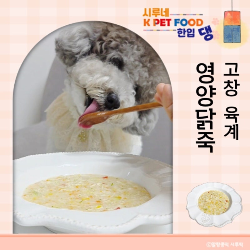 강아지 수제간식 만들기 닭가슴살로 만든 강아지용 닭죽