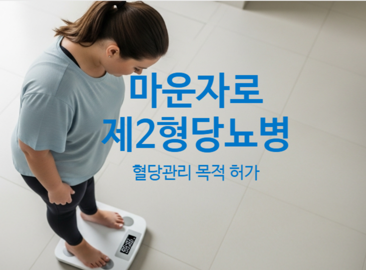  마운자로처방 당뇨병 환자 혈당조절 개선에 허가받았네요. 투여 대상