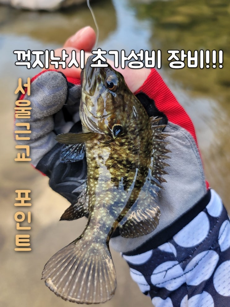  꺽지낚시 초가성비 세트 추천 서울근교 벽계천 짬낚포인트