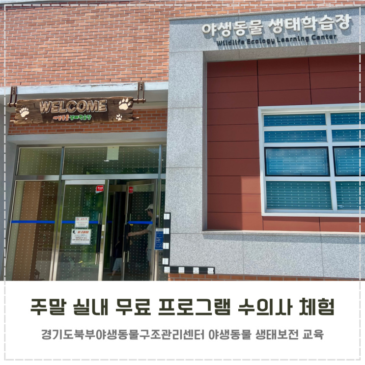  주말 6살 아이랑 실내 무료 프로그램 수의사 체험