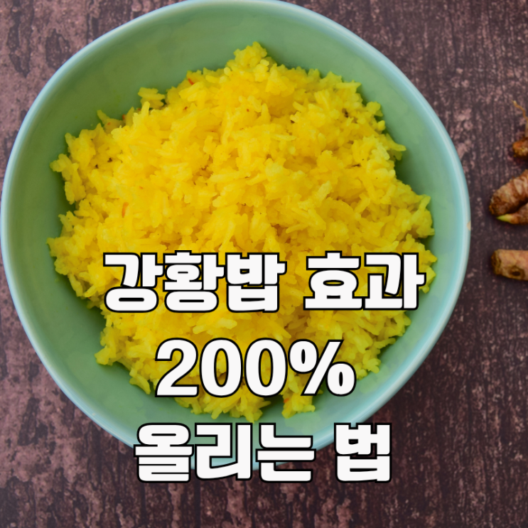 강황밥 효능 200% 올리는 비법. 커큐민은 지용성입니다. 그냥 먹으면 효과 없어요.