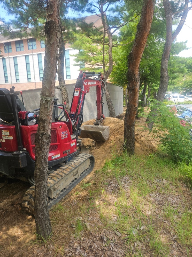  파주미니포크레인 학교차양시설 나무사이 좁은곳 기초터파기 폐기물상차 017포크레인작업(허니미니중기)