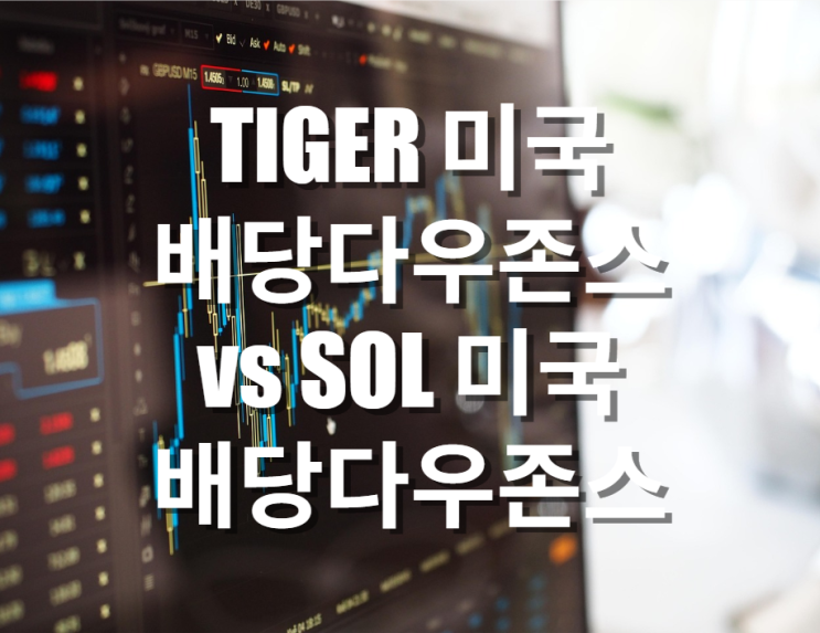  SCHD 투자하고 싶다면? TIGER 미국배당다우존스vs SOL 미국배당다우존스