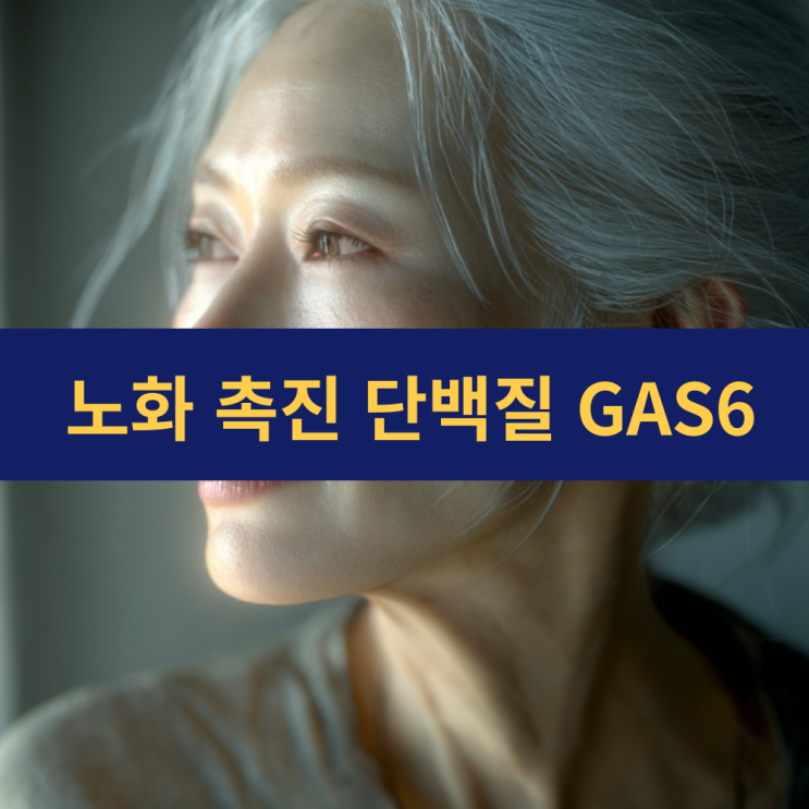  노화 촉진 단백질 | 노화단백질 GAS6·GPNMB·SAP  | 대동맥부터 뇌까지 전신 노화 촉진시켜