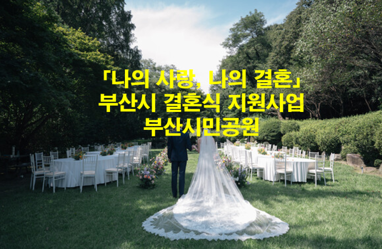 부산시민공원 웨딩 과 <b>청년일자리창출</b>