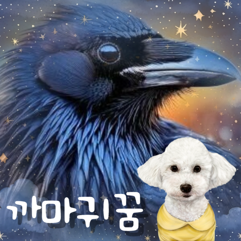 까마귀 나오는 꿈 흉몽 상황별 해몽
